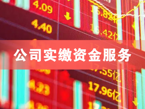 临湘公司实缴资金服务
