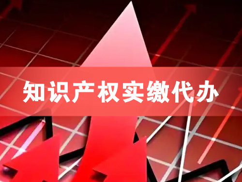 临湘知识产权实缴资本代办